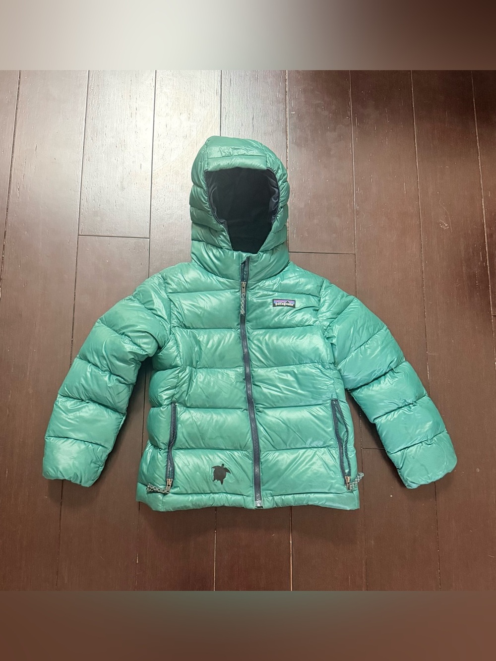 Patagonia Kids Hi-Loft Down Hooded Puffer Jacket